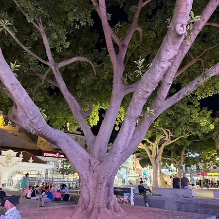 Appartement The Downtown Albufeira