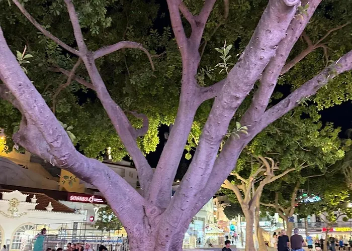 Daire The Downtown Albufeira